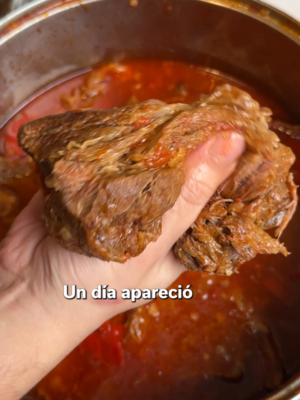 🥪Mechadito Ingredientes: 1kg de Roast Beef 1 Morron 1 Cebolla 2 dientes de ajo 1 Puñado de sal 1 Lata de Tomate Agua Lo dejas cocinando por minimo 2 horas. Cuanto mas lo dejes, mas se va a desarmar. Podes cortar la carne en pedazos mas chicos para que se haga mas rapido. Para hacer el sandwich ahuecas un pan. Le pones queso arriba y orégano. Lo derretis un poco en el horno y listo! #fyp #recipesoftiktok #recetasfaciles #Receta 