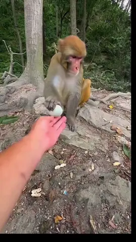 Linganguli😭😭🔈🔈🔈🔥🔥#brainrot #meme #blowup #fypツ #viral 