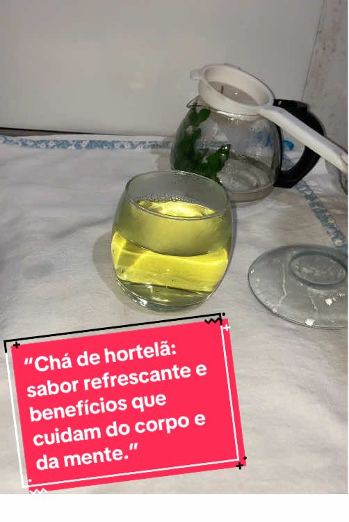 Respondendo a @Lucia Pereira “Chá de hortelã: sabor refrescante e benefícios que cuidam do corpo e da mente.”  #saude #remediosnaturales #chádehortelã 