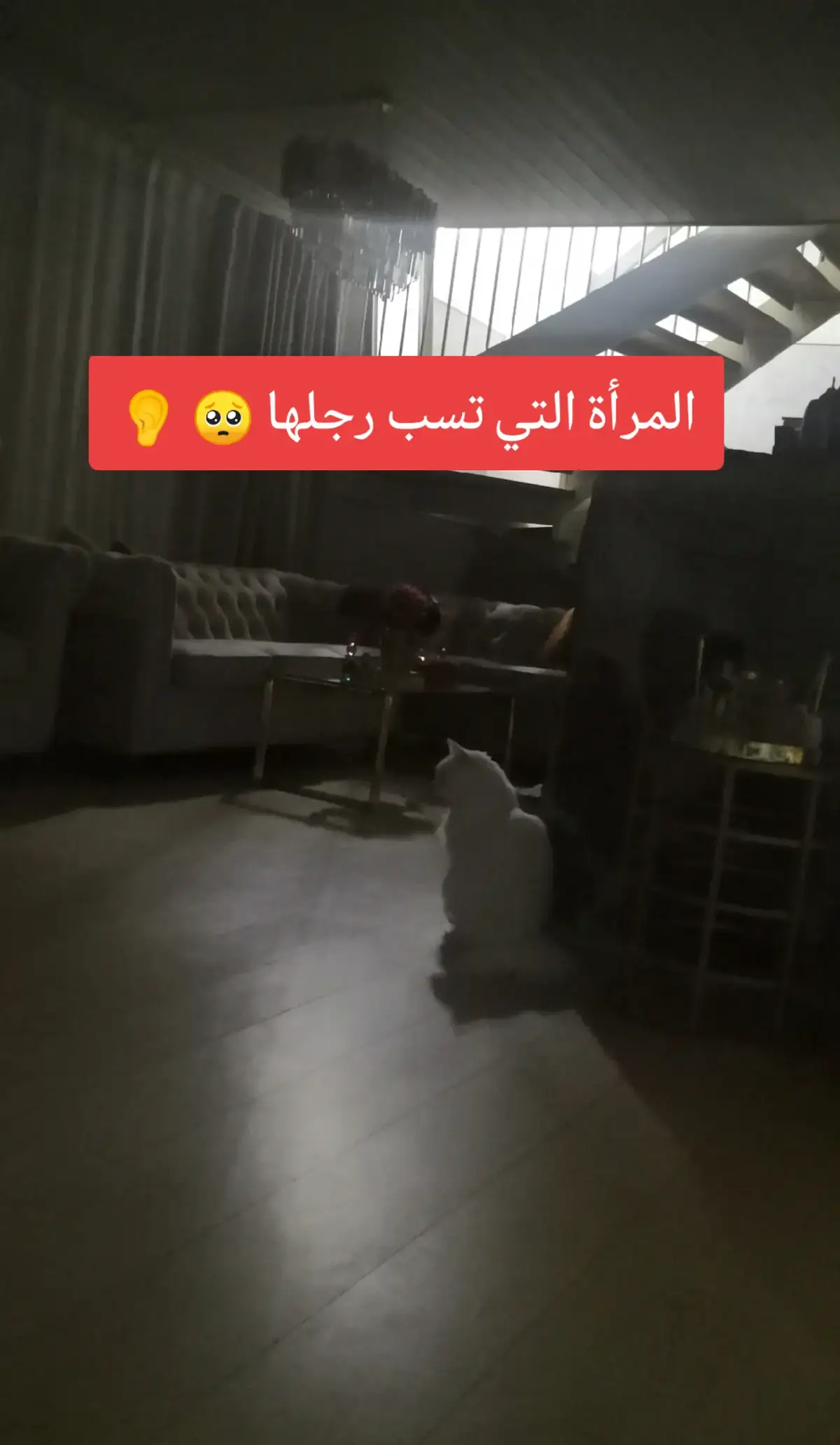 #اذكروا_الله #استغفرالله_العظيم_واتوب_اليه #الحمدلله_دائما_وابدا #استغفر_الله #لا_اله_الا_الله 