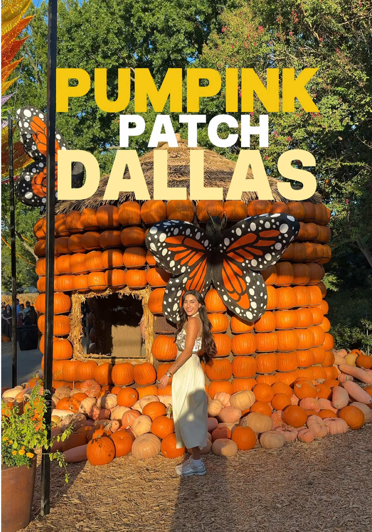 El Dallas Arboretum se transforma en ¡Mundo México! 🎃🇲🇽 del 20 de septiembre al 2 de noviembre. Un plan perfecto para fotos 📸, disfrutar con familia, amigos o un date❗️ Y no olvides checar Pumpkins & Pints con bebidas + espectáculos en vivo 🍹 que se llevarán a cabo de 6 a 9 p. m. en noches seleccionadas: 9/26, 9/29, 10/6, 10/8, 10/12, 10/14, 10/15, 10/19, 10/29 y 10/31. 🎟️ Compra tus entradas en 👉 dallasarboretum.com.  @Dallas Arboretum #dallasarboretum #pumpinkpatchdallas #dallascontentcreator #quehacerendallas  