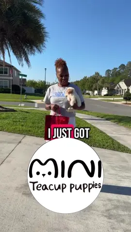 Delivery reviews #miniteacuppuppies #delivery #usa🇺🇸 