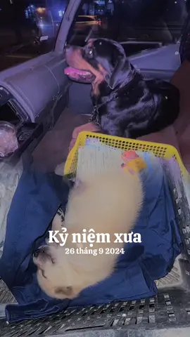 #kỷ niệm xưa 