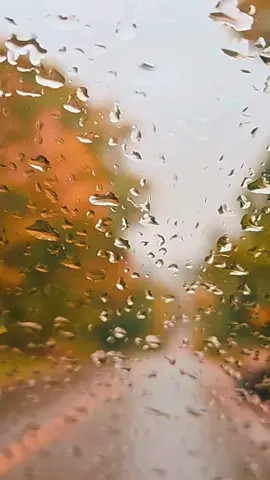 بارش  اور میں۔۔۔