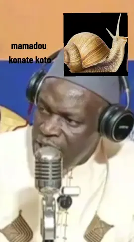 #bamadaniden92 #farance #malitiktok🇲🇱 #livehighlights #tiktoklive 