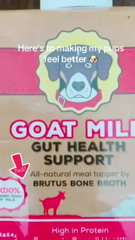 Goats milk for your dogs and cats #fyp #tiktokshop #goals #dognutrition 