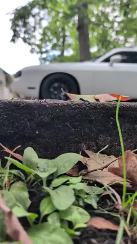 Rain day blues 💙. #srt #mopar #musclecar #caredit #redoctober 