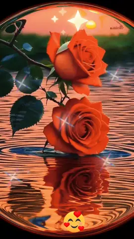 #حكم واقوال🤗👍🌹🥰❤️