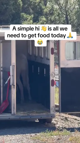 💔 Friends, we need your help today 💔 A simple “hi 👋” means the world, but what we truly need is support to feed our rescues. We are short $2,500 to buy food and keep every precious soul safe and nourished. 🐴.  Every little bit counts—whether it’s a share, a kind word, or a small donation. Together, we can make sure they don’t go hungry tonight. 🙏❤️#SaveTheHorses #EverySecondCounts #StopTheKill #viralforgood 