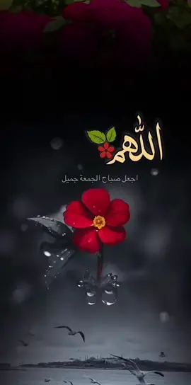 #جمعة_طيبة_مباركة_بذكر_الله🤲📚📿 