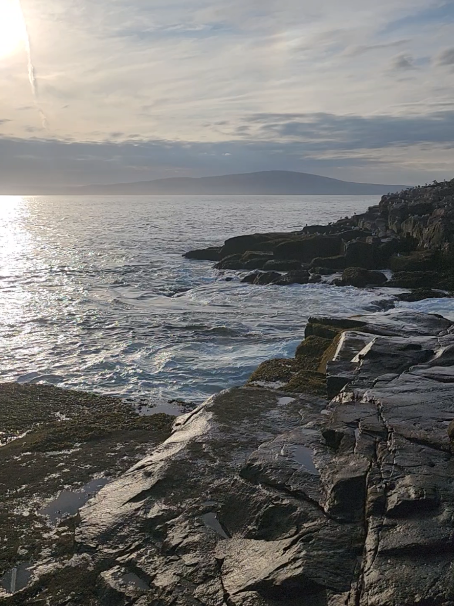 Schoodic Peninsula Acadia National Park in Winter Harbor Maine. I got a chance to explore the park yesterday afternoon. Join me on my journey 🌊 #ocean #nationalpark #waves 