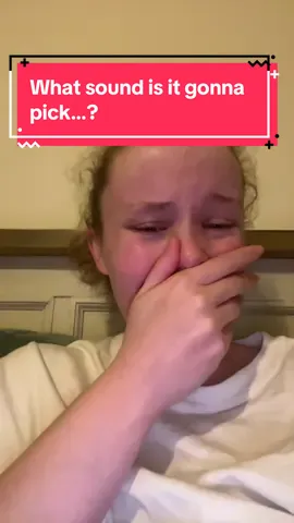 Apparently I’m a horse girl now…  #horses #filter #fypシ゚ #stupid #irishtiktok 