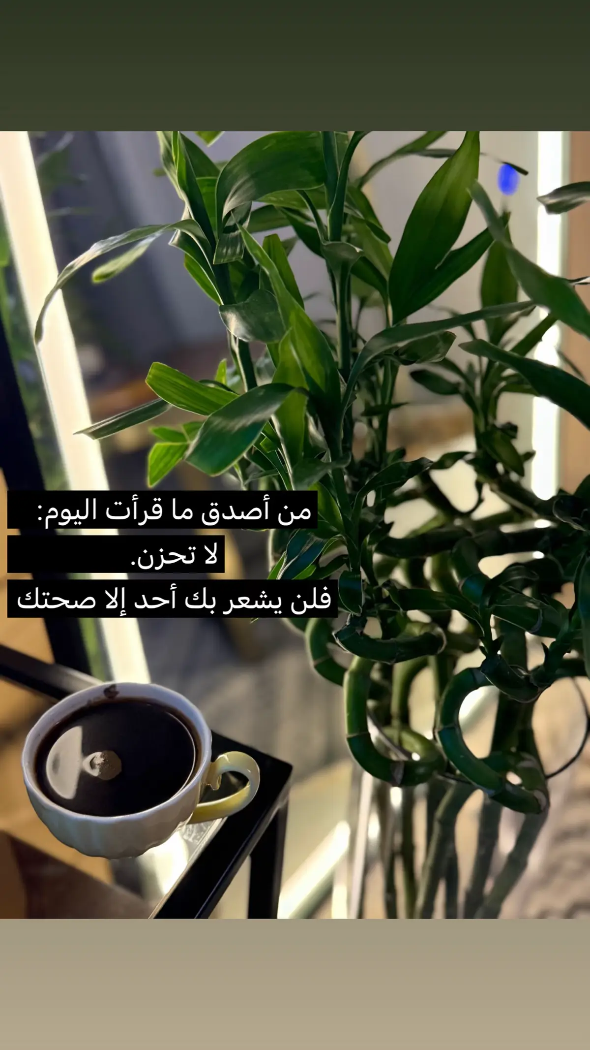 كلمات#اكسبلورررررررررررررررررررر💥🌟💥🌟💥💥🌟🌟🌟🌟🌟 #حركه #fyp #موسيقى🎶 #حكمة 