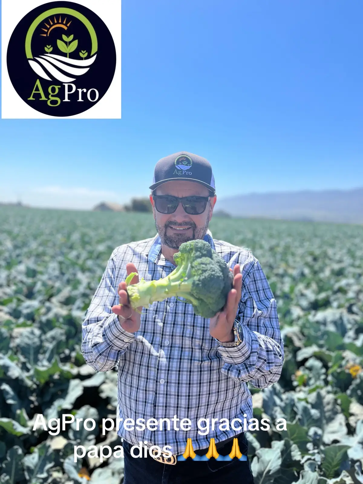 #fentysuperbrandday #piedadayala #paratiiiiiiiiiiiiiiiiiiiiiiiiiiiiiii #agproorgsnics #viral #fresnostateuniverdidad #LanguageLearning #virgendeguadalupe #tiktokretrocontest #aguacates #ayalafarm #almonds 