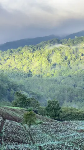 Dalam sunyi hariku, aku berharap semoga suatu saat dipertemukan denganmu—pasangan yang sejiwa, yang mencintai hal-hal yang sama, bermimpi setinggi langit dan melangkah dengan tujuan yang selaras. Semoga ke mana pun kita pergi, dunia menjadi saksi perjalanan kita; saling menguatkan dalam kelemahan dan saling melengkapi dalam kelebihan. Aku berharap kita diberi umur panjang yang indah, kebahagiaan yang hangat, dan keberkahan tanpa henti—cukup waktu untuk menebar kebaikan, cukup ruang untuk menginspirasi dan cukup bekal untuk menyiapkan cinta kita, di dunia hingga ke akhirat. #affirmations #reminders #foryoupage #notetoself 