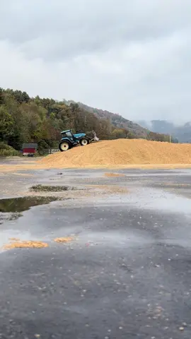 Kern🌽 #corn #newholland #vermont #fall #fyp 