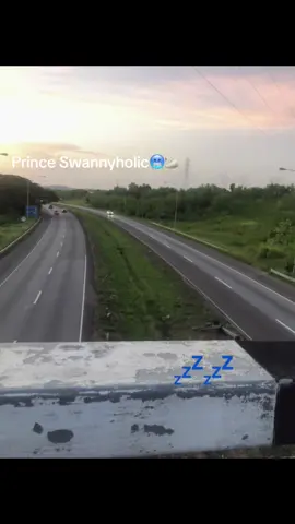 #🇹🇹🇬🇾🇬🇩🇯🇲🇧🇧🇧🇸 #princeswanny #caribbean tiktok
