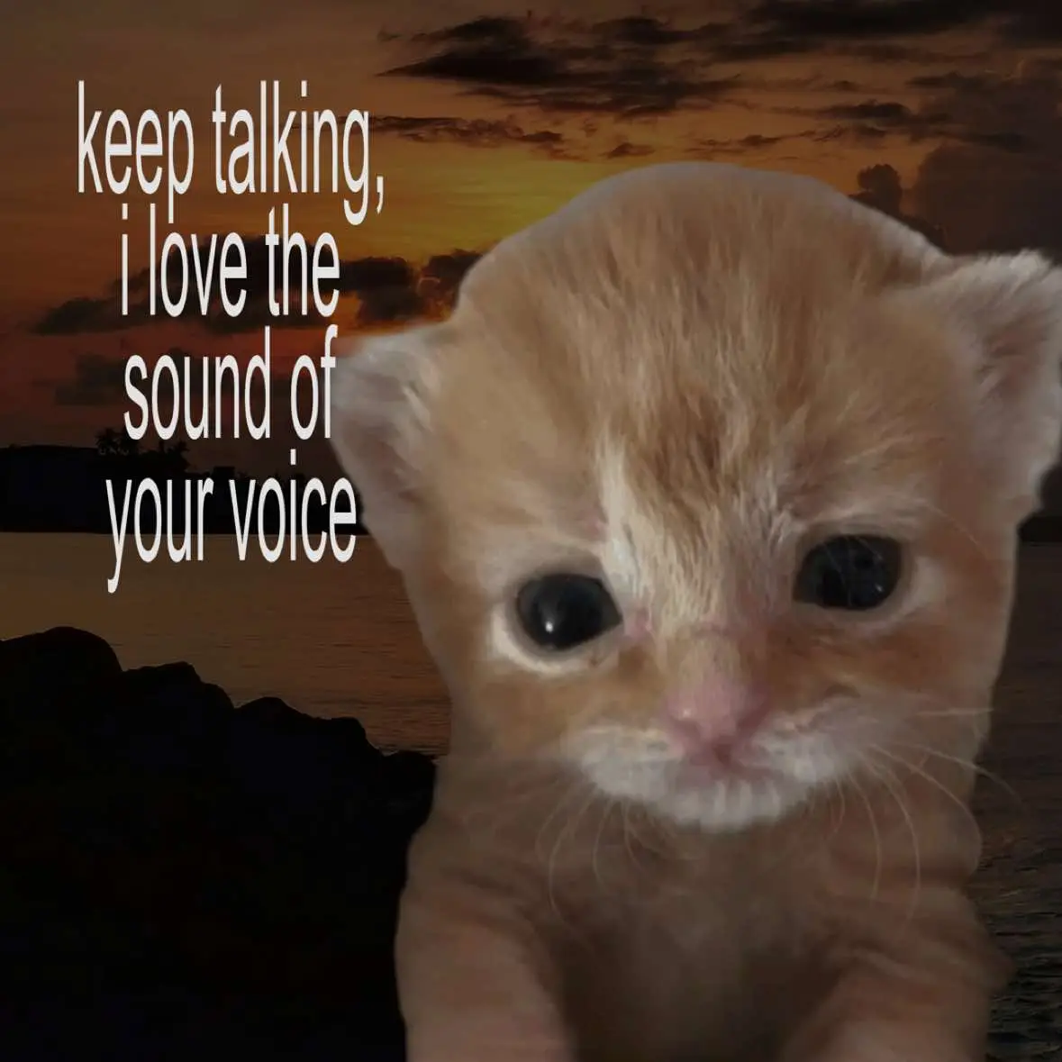 #relatable #relatablecontent #lovecore 