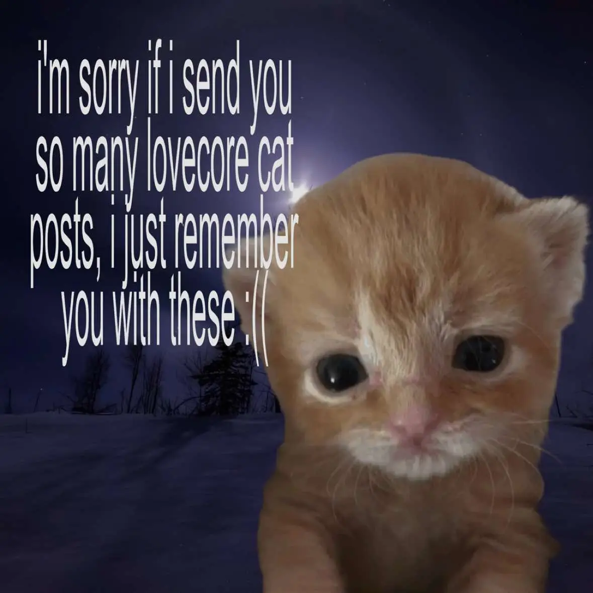 #relatable #relatablecontent #lovecore 