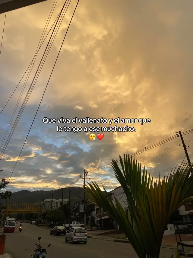 Que viva el vallenato y el amor que le tengo a ese muchacho. 😮‍💨❤️ #vallenato #vallenatos #soloamame #losinquietosdelvallenato #nelsonvelasquezvallenato 