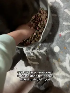 my big boy💙 #fentysuperbrandday #LanguageLearning #foryoupage #canecorso #dogs 