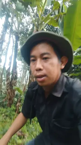 assalamualaikum sampurasun smngat pagi hari ini  #nextlevel #fyp #pejuangkeluarga🤗🥰 #pejuangrupiah #goodmorning 