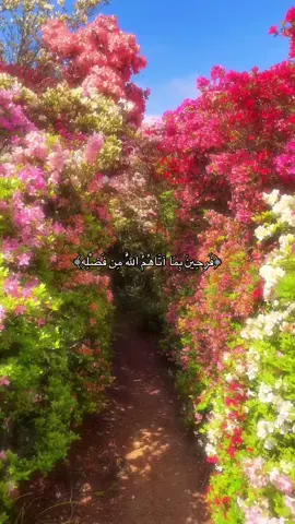 الحمدلله  #القرآن_الكريم #explore #fyp #foryou #viral 