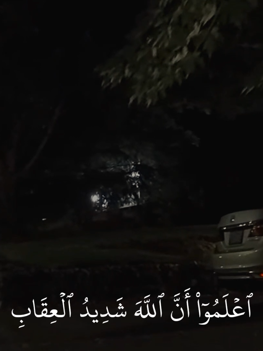 (اعلموا ان الله شديد العقاب) #محمد_اللحيدان #قران_كريم #راحه_نفسيه #قران 