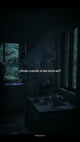 ¿Amas esas mañanas?🍃#darkvibes #buenavibra #aestheticvideos #lluvia #Nostalgia 
