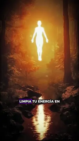 🕊️✨ Limpia tu energía en solo 30 segundos con este ritual diario antes de dormir.  Cancela, disuelve y transmuta cualquier energía negativa de tu día.  Rompe lazos energéticos que ya no te sirven y devuelve todo con luz al universo 💛.  Un hábito sencillo que te ayuda a dormir en paz, proteger tu campo energético y atraer todo lo positivo que mereces 🌟. . . #limpiatuenergia #energiapositiva #bienestaremocional #autocuidado #crecimientopersonal 