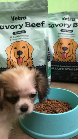 good quality dog food! 🐶✨💗 #seahandthecats #cheewiandpeechi #fyppppppppppppppppppppppp #vetradrydogfood #vetradogfoodsavorybeef 