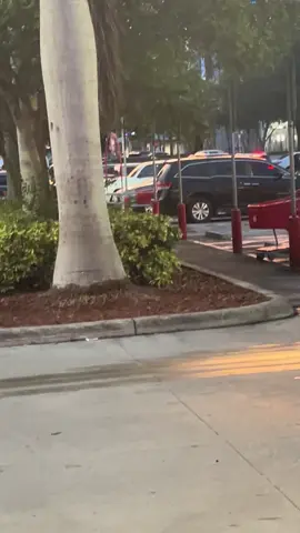 #fyp #fortlauderdale #broward #florida 