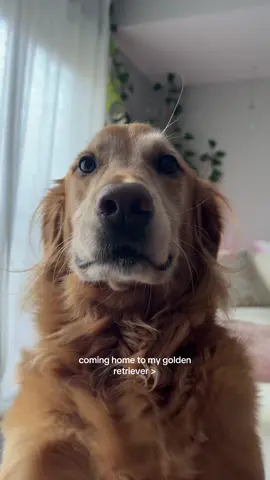 our daily routine 🫶🏼