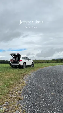 What’s your favorite acoustic song? #guitar #cover #jerseygiant 