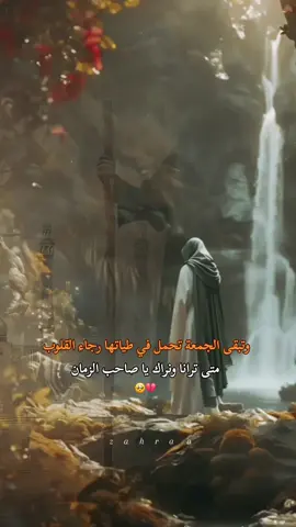متى ترانا ونراك يا صاخب الزمان 🤲🥺 #العجل_يامهدي🤍 #جمعة_مباركة_عالجميع #اكسبلورexplore 