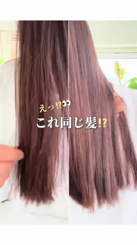 「同じ髪なのにここまで変わるの？😳 #ウォンジョンヨヘア から新しいストレートシャンプーが登場✨ 👉細い髪用 or 普通〜太い髪用、あなたはどっち派？」 気になったら、そのままTikTokショップでチェックできるよ👌 #PR#ウォンジョンヨヘア #ヘアケア #Wonjungyo @【公式】Wonjungyo Hair 