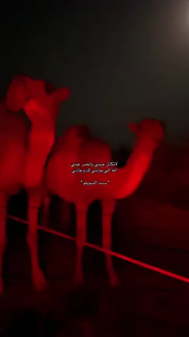 #سكاكا_الجوف #تصويري📸 #هشتاج_الاكسبلور 