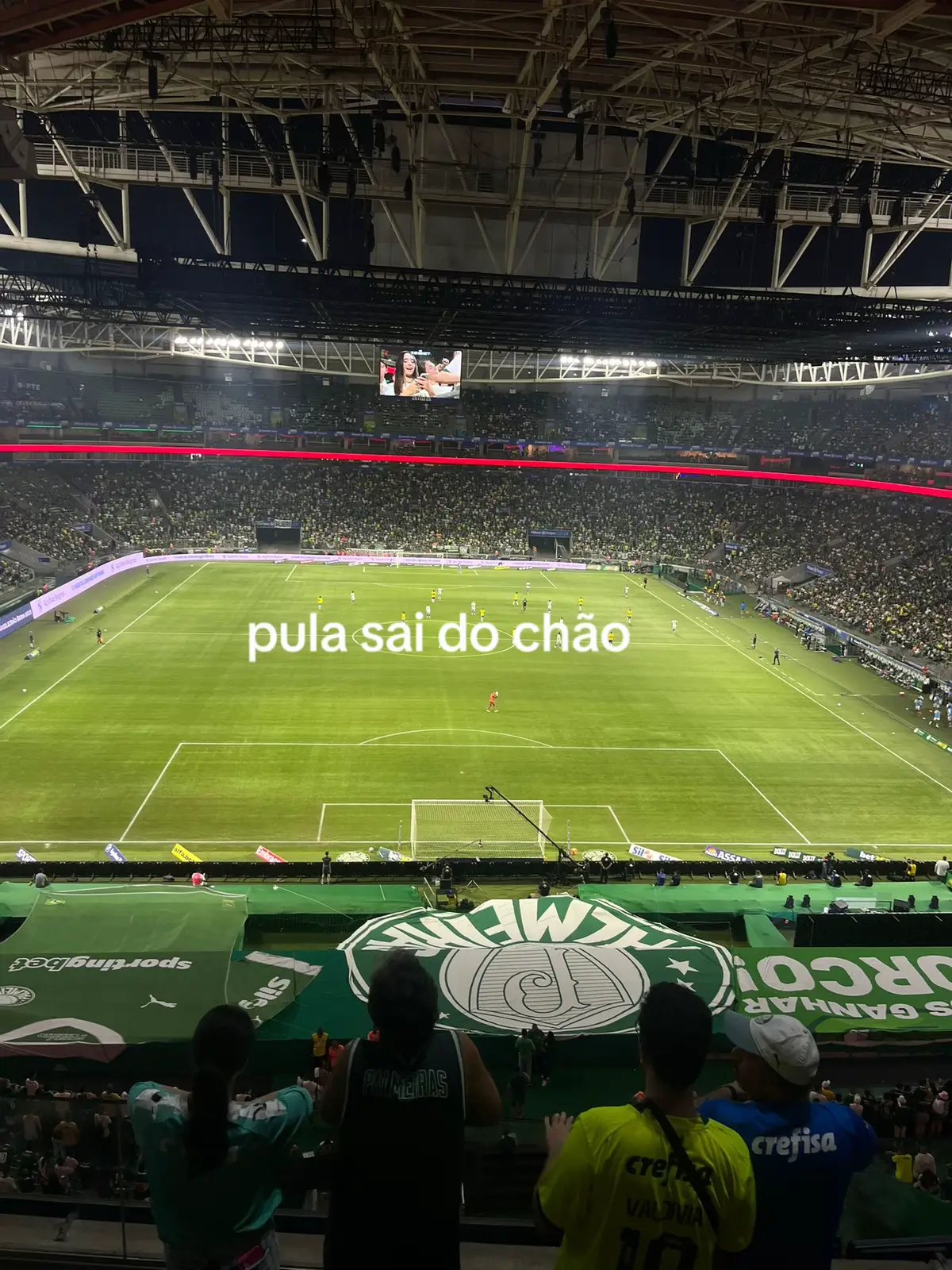 #palmeiras #libertadores #manchaverde 