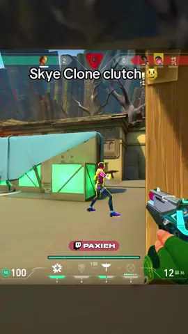 Skye Clone is too good! 😻 #Valorant #valorantclips #valorantskye 