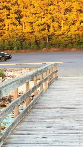 #fyp#mustang#v6#mustangsoftiktok 