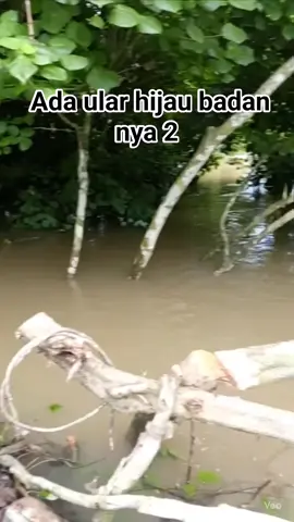 Ko ada ya ular badan nya ²      Sungguh aneh tapi nyata 😱