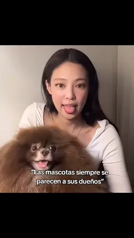 they look very similar 🥲💖💖 #jennie #rosé #lisa #jisoo  #BLACKPINK 