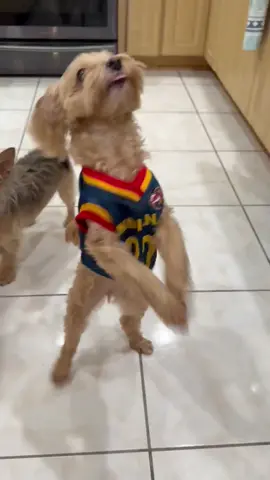 Isabella is ready for the Fever game tomorrow night. #indianafever #WNBA  #gofever #caitlinclark 