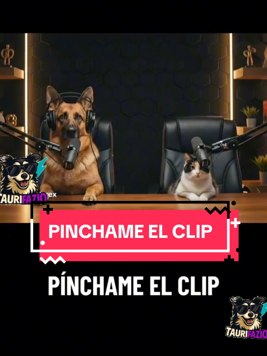 #pinchameelclip 
