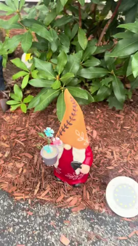 #gnome #gnomedecor #outdoordecor 