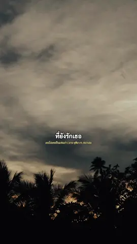 #เพลงเพราะ #เพลงลงสตอรี่ #สตอรี่ความรู้สึก🤍🎼 #noon_1987🎵 
