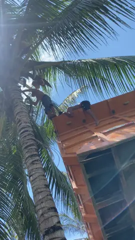 #fyee #upinipinofficial#fypviralシ #lewatberanda #fyppppppppppppppppppppppppppppppppppp 