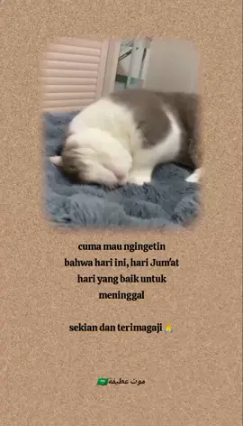 cuma mau ngingetin 😌🙏 #quotesislami #atifahkhumairoh 