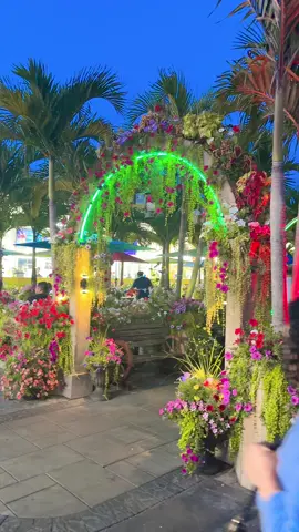 Bello poultry Market  Long Island #sylheti_furi #nazma_munna #alhamdulillah❤️ #ishqqueen #gardening 