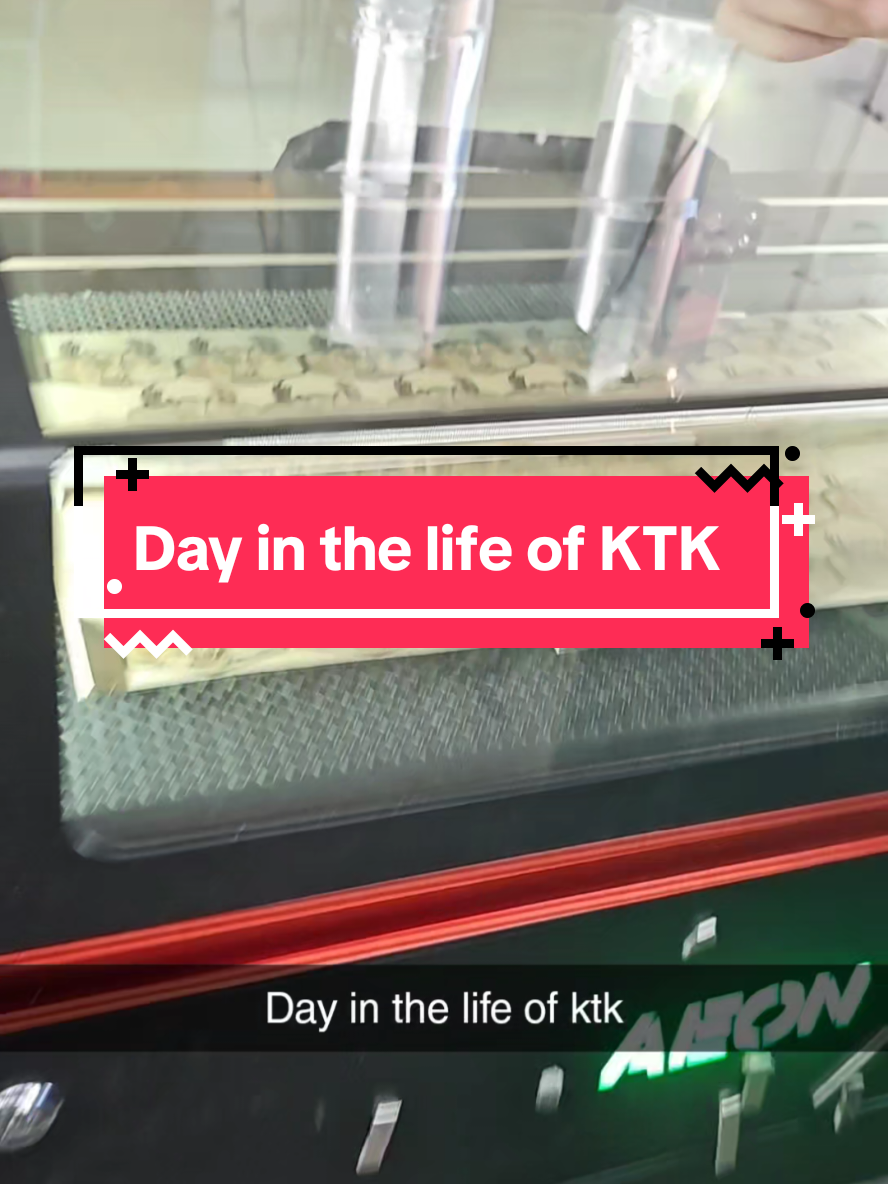 day in the life of KTK #ktk #aeon #knighttimekreations #laserengraving 